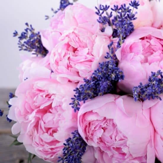Peonies with Lavender