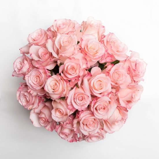 Roses Pink Rose Bouquet