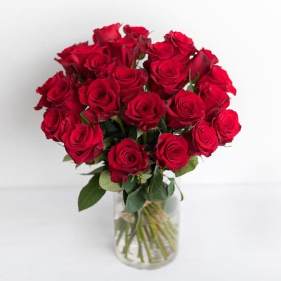 Roses Red Rose Bouquet