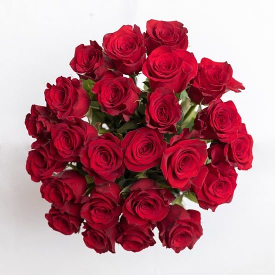 Roses Red Rose Bouquet