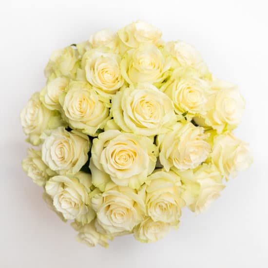 Roses White Rose Bouquet