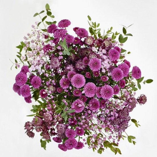 Clara Small Purple Bouquet